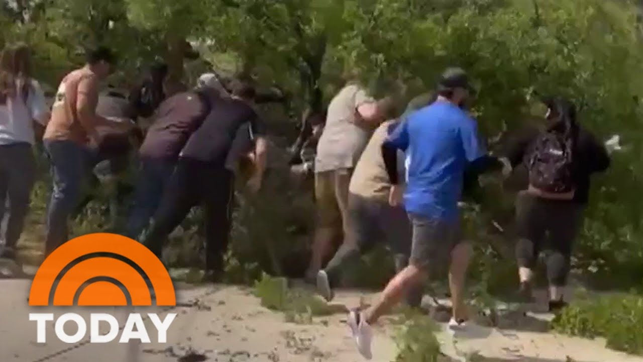 Tree branch breaks and falls on San Antonio Zoo visitors, injuring 7